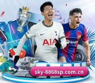 sky-8868sp.com.cn的方向